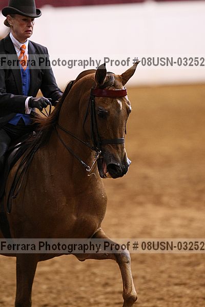 Proof 08usn-03252