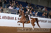 08usn-03260 proof