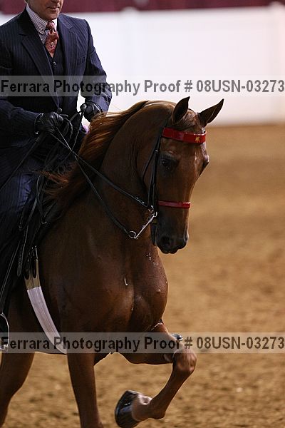 Proof 08usn-03273