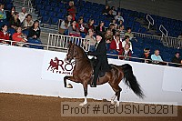 08usn-03281 proof