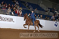 08usn-03283 proof