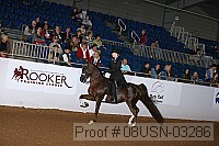 08usn-03286 proof