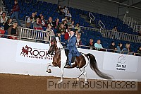 08usn-03288 proof