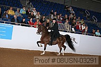 08usn-03291 proof