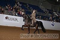 08usn-03299 proof