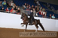 08usn-03302 proof