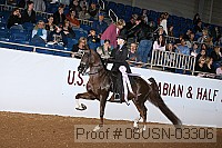 08usn-03306 proof