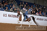 08usn-03311 proof