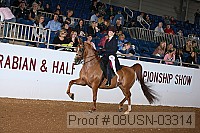 08usn-03314 proof