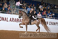 08usn-03316 proof