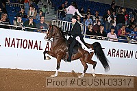 08usn-03317 proof