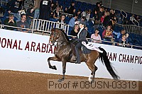 08usn-03319 proof