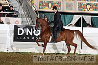 08usn-14066 proof