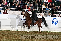 08usn-14068 proof