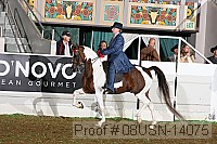 08usn-14075 proof