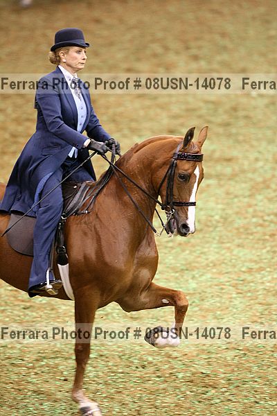 Proof 08usn-14078