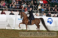 08usn-14081 proof