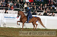 08usn-14083 proof