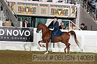 08usn-14089 proof