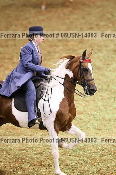 Proof 08usn-14093