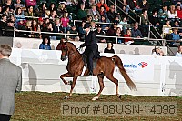 08usn-14098 proof