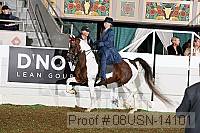 08usn-14101 proof