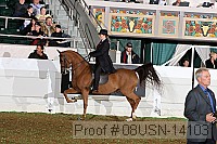 08usn-14103 proof