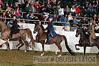 08usn-14104 proof