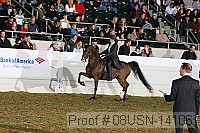 08usn-14106 proof