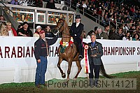 08usn-14121 proof
