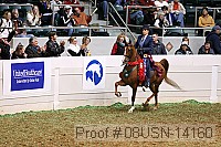 08usn-14160 proof