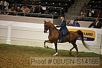 08usn-s14166 proof