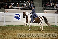 08usn-s14168 proof
