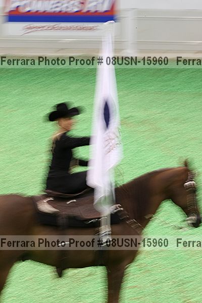 Proof 08usn-15960