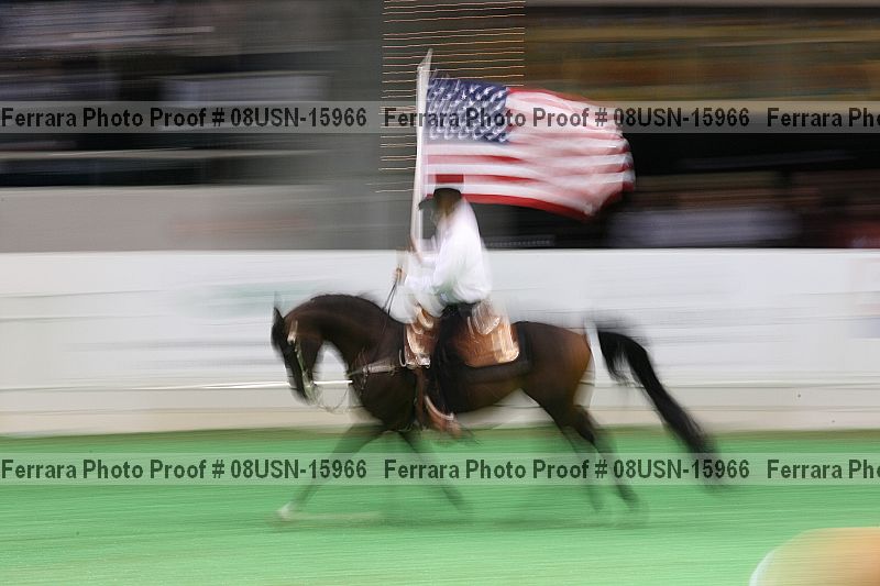 Proof 08usn-15966