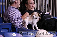 08usn-07847 proof