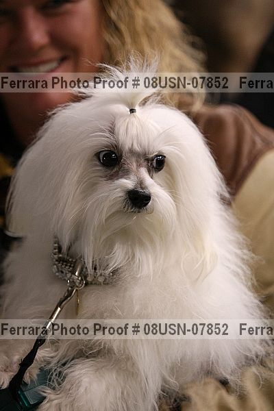 Proof 08usn-07852