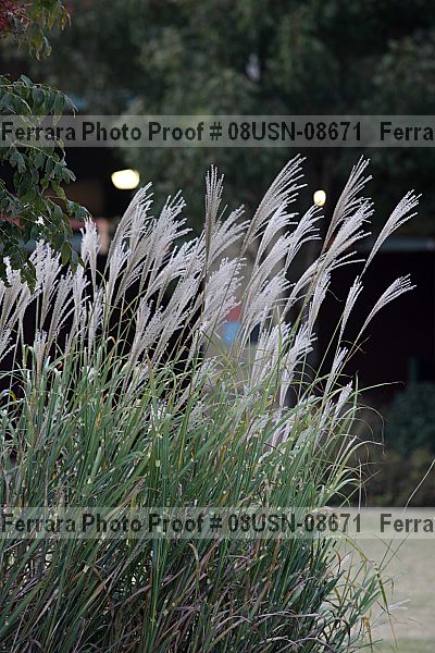 Proof 08usn-08671