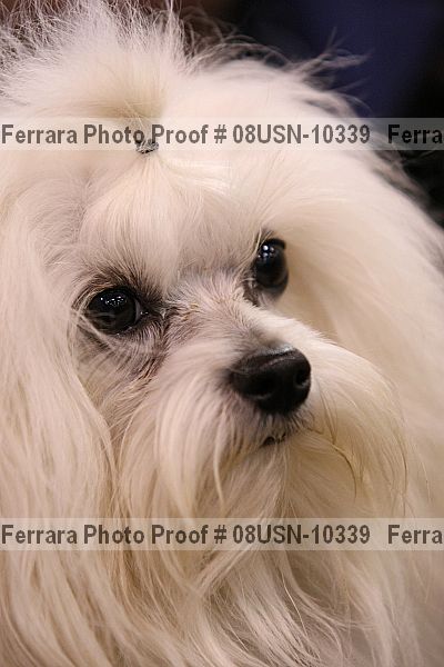 Proof 08usn-10339