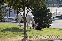 08usn-s06892 proof
