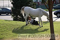 08usn-s06894 proof