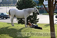 08usn-s06896 proof