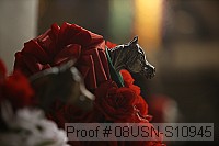 08usn-s10945 proof