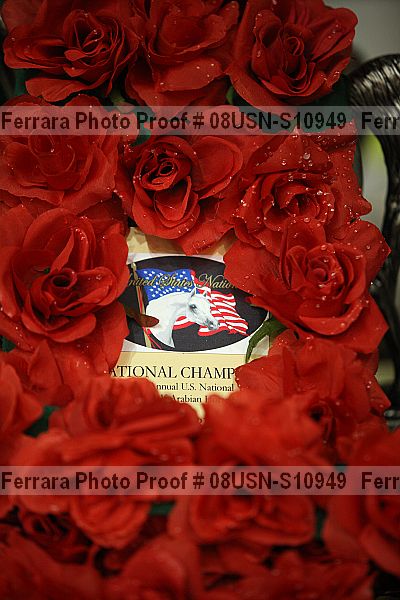Proof 08usn-s10949