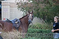 08usn-s08060 proof
