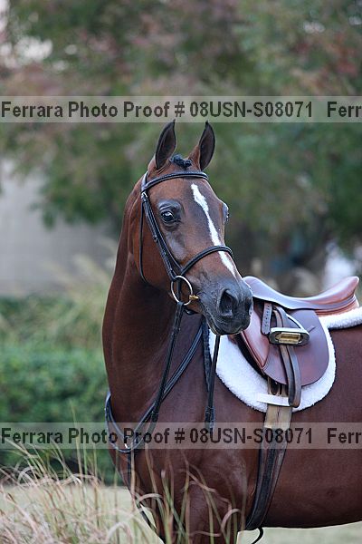 Proof 08usn-s08071