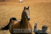usn07_j04840_ proof