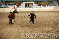 08yn-13973 proof