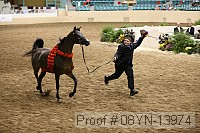 08yn-13974 proof