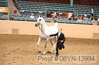 08yn-13994 proof